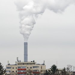 Коллекторная (лучевая) разводка отопления: плюсы и настройка 