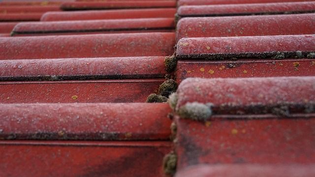 Подшивка свесов крыши софитами или вагонкой